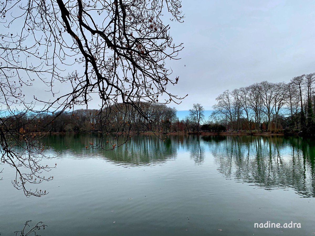 Reflet tranquille de l’automne...
#nature #poetry #photooftheday