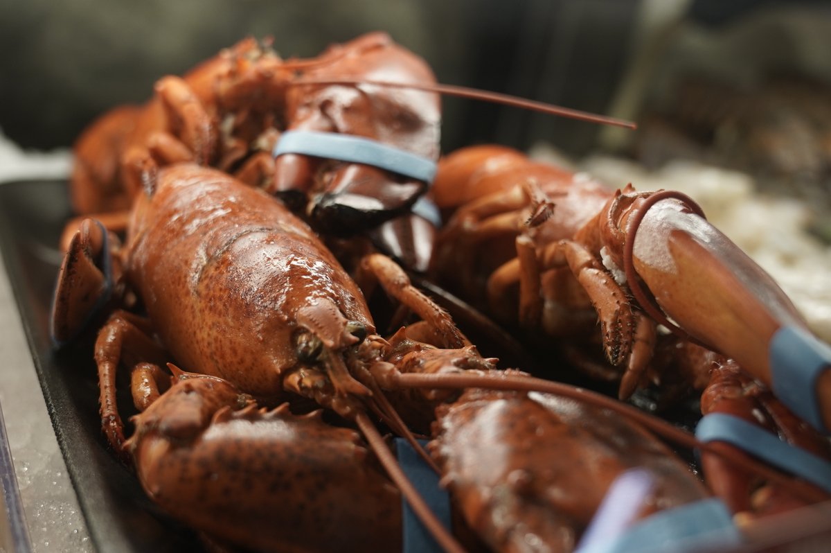 Leaning into the seafood craze is a tricky balance for retailers.Mark Murrell, CEO of Get Maine Lobster, saw sales increase more than 600% in 2020.But when he needed more freezer space, he decided to rent it, in case things change  http://bloom.bg/3iHVvrJ 