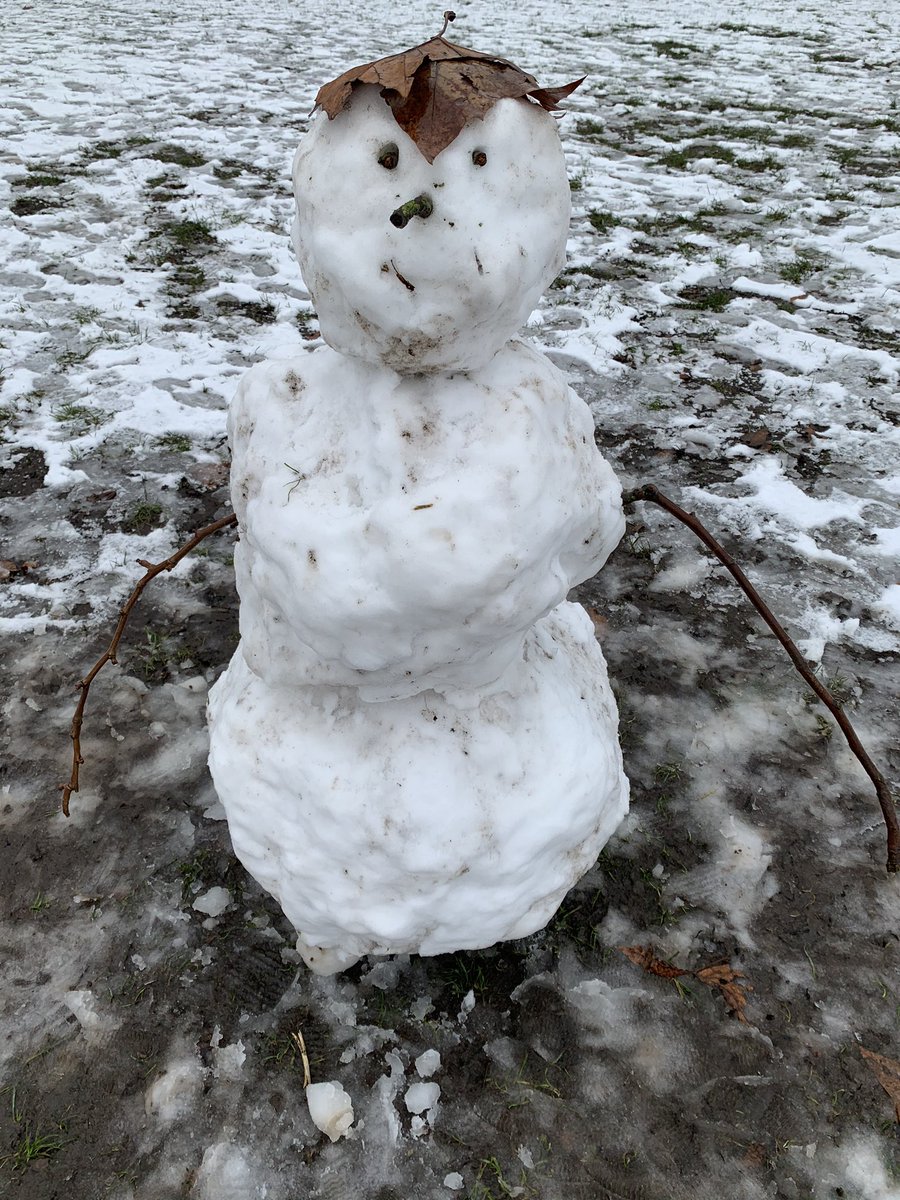 I have a few more, but this’ll be my final one for now. Hair 5/5 great use of leaf. So real. Much foliage. Friendliness 4/5 think I can see a cheeky smile poking through Snowball count = 3Bonus point for having little mud contamination. Total = 13.  #RateMySnowman