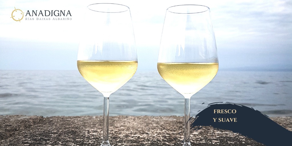 Nuestro Anadigna es un 100% albariño DO Rías Baixas. En boca es fresco y suave, con suficiente cuerpo y grado alcohólico. ¿Su seña de identidad? El toque de acidez y frescura característica de la zona Val do Salnés. 🥂

 #winelovers #albariño #doriasbaixas