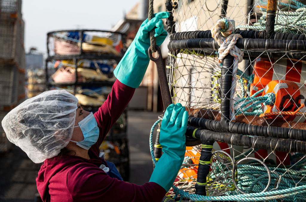 Covid-19 has rattled the seafood industry in myriad other ways, too:Social distancing and quarantines affect work shifts and workstationsStruggling restaurants mean the seafood industry has added $2.2 billion in debt since the onset of the pandemic  http://bloom.bg/3iHVvrJ 