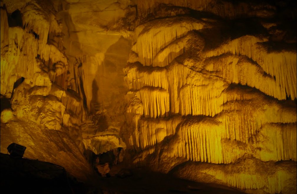 Fatih Özcan tweet media