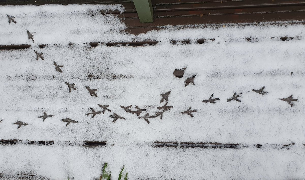 Trevor Beattie tweet media