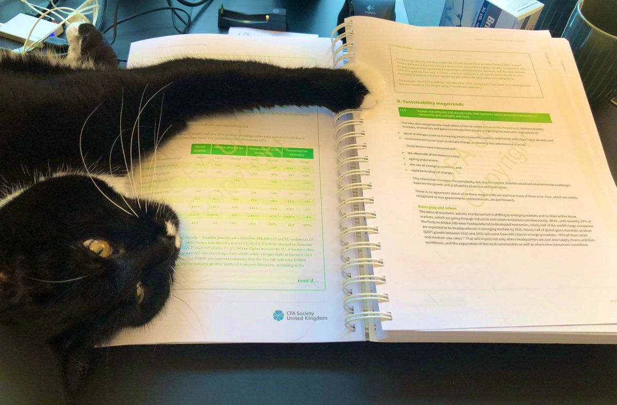 Louise Koch Dell Com Sunday Afternoon Reading For The Esg Certificate On Sustainable Investments With My Office Buddy Ziggy Keeping Me Company T Co Stmwaigpkv