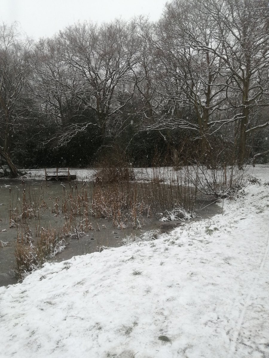 Best day in Jan lockdown by far! ❄️ #walkinwinter #snowday #wimbledoncommon #lovelondonwalklondon