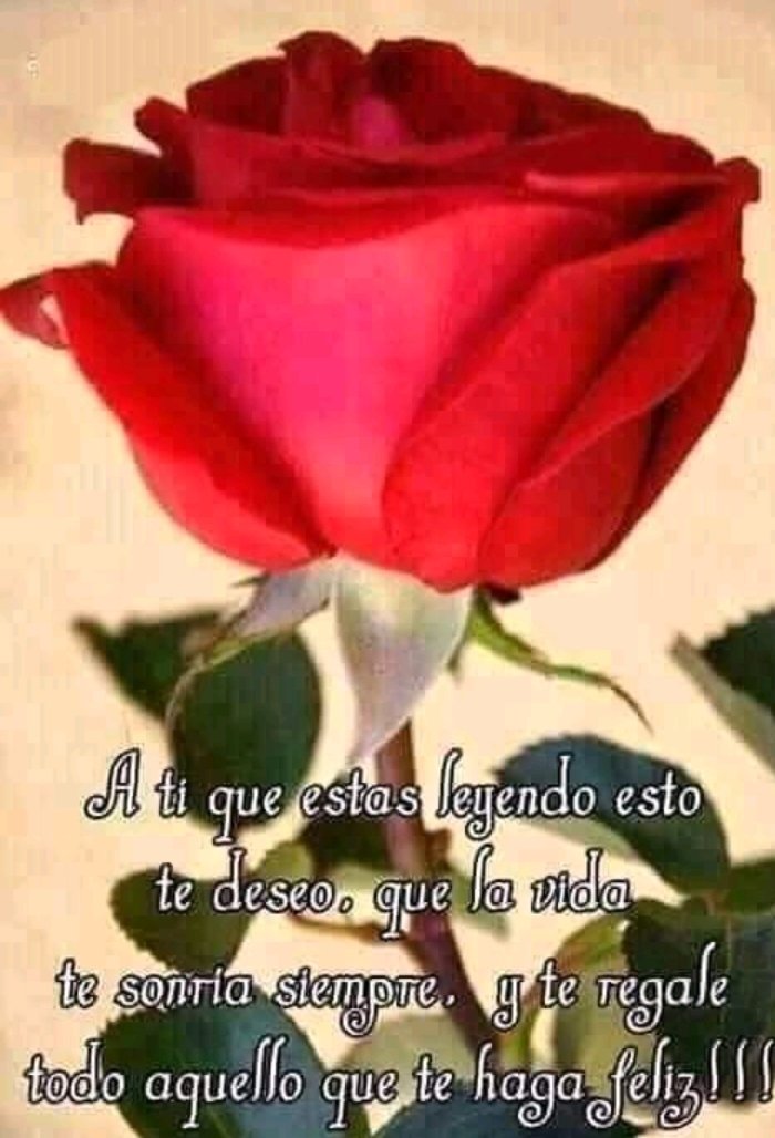 @tomeguindelpina @DavidXCuba @ArgelioBorges @ClaraWaite @EGuerraArias @AshlyRRivero19 @LukaT32 @FloryCantoR @TPU19J @dalyla_II @OsmelMY @CubanoAPie2 @SugarbrownNic @Damiana_Estevz @FerminVallejos1 @Giselle15080805 @HctorFernndezJ1 @dacosta_jani Feliz día amiga 👍👍🇨🇺🇨🇺🇨🇺