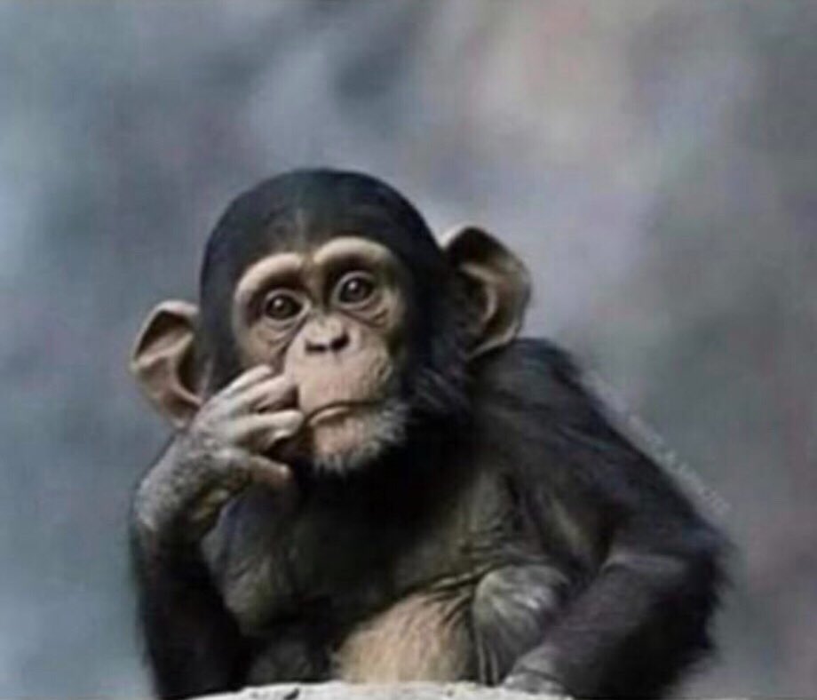 santetrae's tweet photo. @RGIII Really!! I’ll wait.... https://t.co/5sQknVPFae