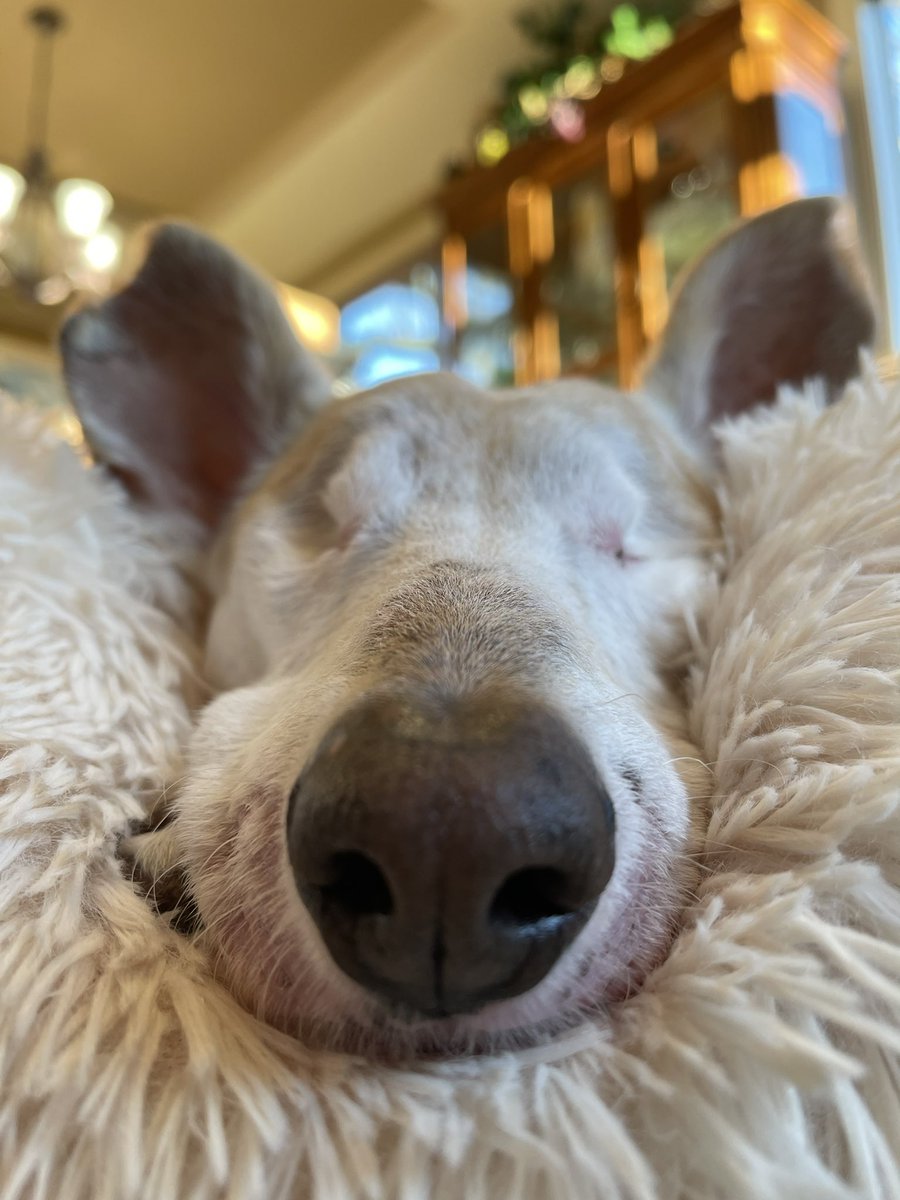 Boop.