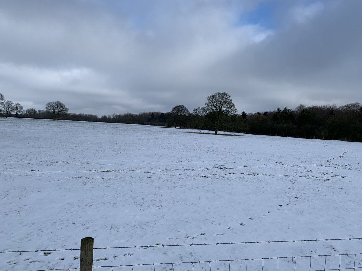 LennonTHFC's tweet image. #Latton #snow