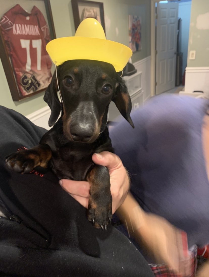 George Karamanakis tweet media