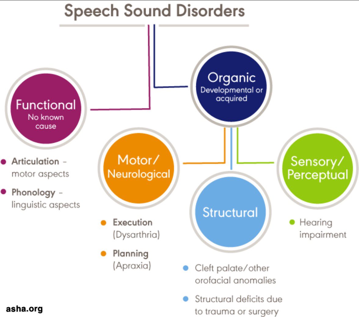 SasorgAS's tweet photo. #Speech_Sound_Disorders https://t.co/zY6BbrwpqL