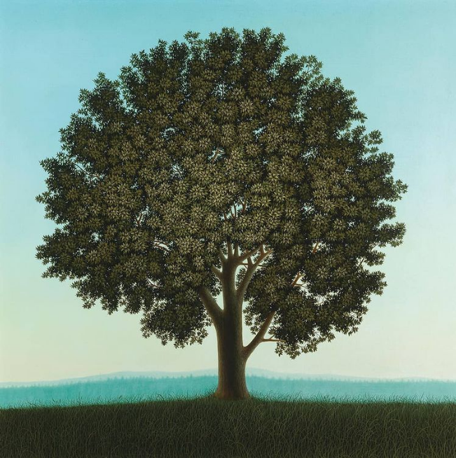 MenschOhneMusil's tweet photo. Josef Bramer Austrian, b. 1948  Baum (Tree) 1976. https://t.co/LsMbZBVzTo