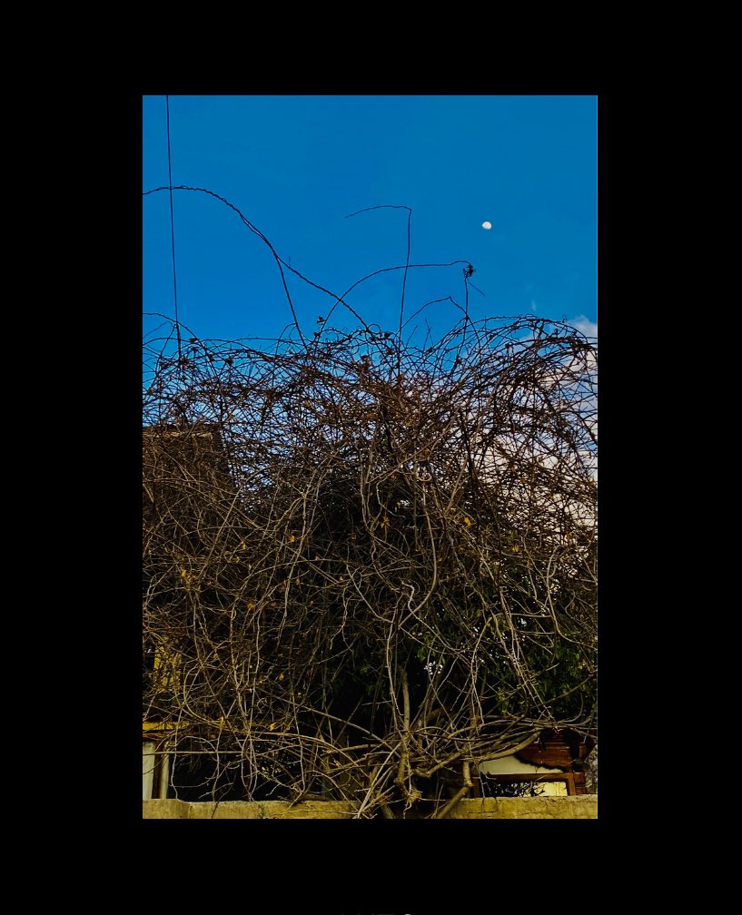 czdorji's tweet image. #NotTwo 
Photo 1 

#Unlocking the I 
While #unlockinglockdown 

#bhutanese #bhutanlockdown #bhutan