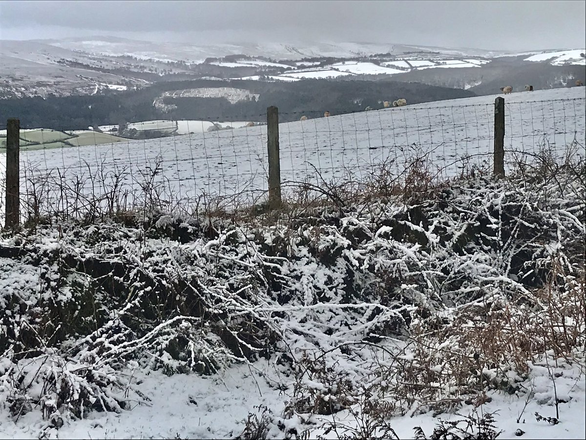MarstonLodge's tweet photo. Enjoying a rare snow day on Exmoor, just a few minutes from our front door! Cold but beautiful.
#lockdown2021 #Snowing #Exmoor #SouthWestCoastPath https://t.co/MXNVKODTya