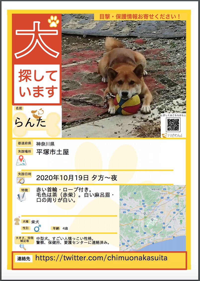 ハピわん 迷子犬センター中心に発信中 V Twitter らんたくんですが いまだ見つからず 飼い主さま必死に探してらっしゃいます 目撃された方 お近くで似たワンちゃんを飼われているのをご存知など 情報お持ちの際はぜひお願い致します ワンコ 犬 ハピわん