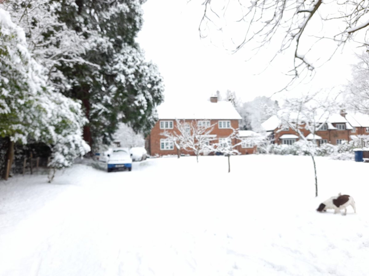 revdhannah's tweet photo. Snow fun today, it seems to bring a stillness to the world. https://t.co/Ns1pwDQgDO