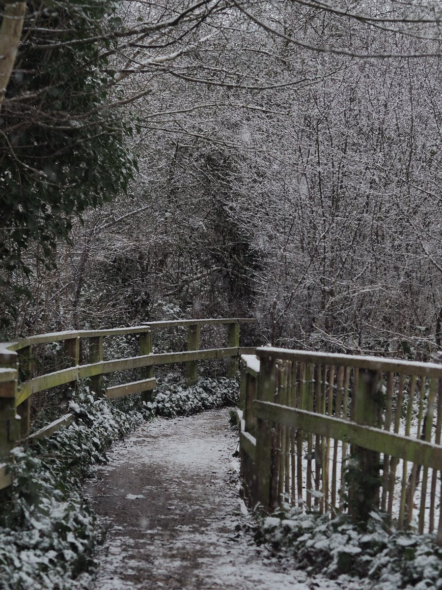 Rach_kl's tweet photo. Waking up to this today ❄❄❄

#snow #londonsnow #London https://t.co/DmPCKzsjka