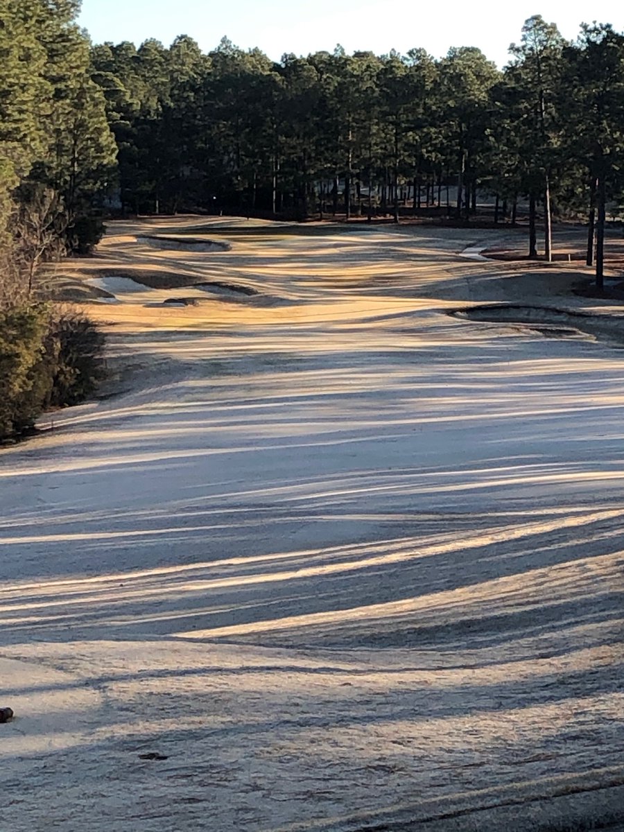 Kevin Fitzpatrick tweet media