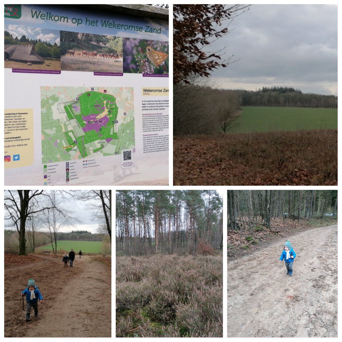 1979Sander's tweet photo. Wandelen ten noordoosten van #Lunteren: omgeving #Scheleberg @glk vlakbij Wekeromse Zand #Wekerom en @Goudsberg https://t.co/8PijyrvVAv https://t.co/bJVxWlgtkS