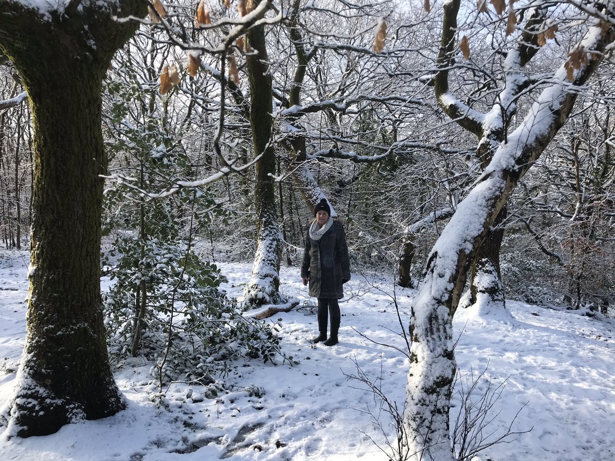 MartynJames8's tweet photo. Nice stroll around Parc Llewelyn this morning with @CathJames63 in the snow ☃️❄️ https://t.co/yW7YTcJoaQ