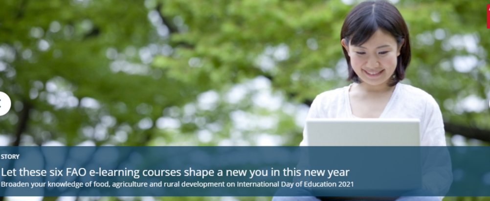 Let these six FAO e-learning courses shape a new you in this new year; bit.ly/399CZp7: #FAO; #multilingualElearning; #GenderEquality; #ClimateChange; #Fisheries; #Malnutrition; #SoilSustainability; #LandSustainability; #Poverty