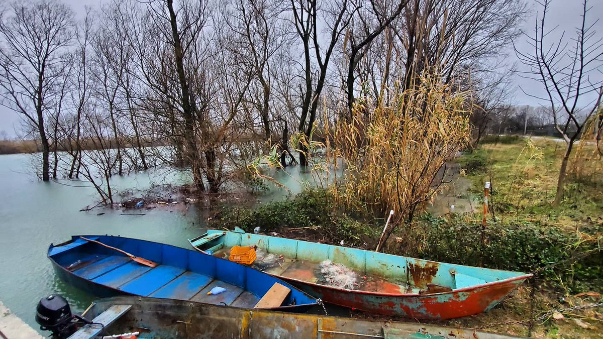AngoniMajlinda's tweet photo. Rikthimi i reshjeve ka vënë në gadishmëri strukturat #QarkuShkoder vijojmë monitorimin #Obot me deputetin z.Luan Harusha dhe Kryetarin e Këshillit Qarkut, z.Hilmi Lakti, ku rritja e niveli të ujit 24h në rrugë ka bërë që aksi të jetë i kalueshëm me mjete të larta.@PuneteBrendshme https://t.co/Jl5oh0VeKc