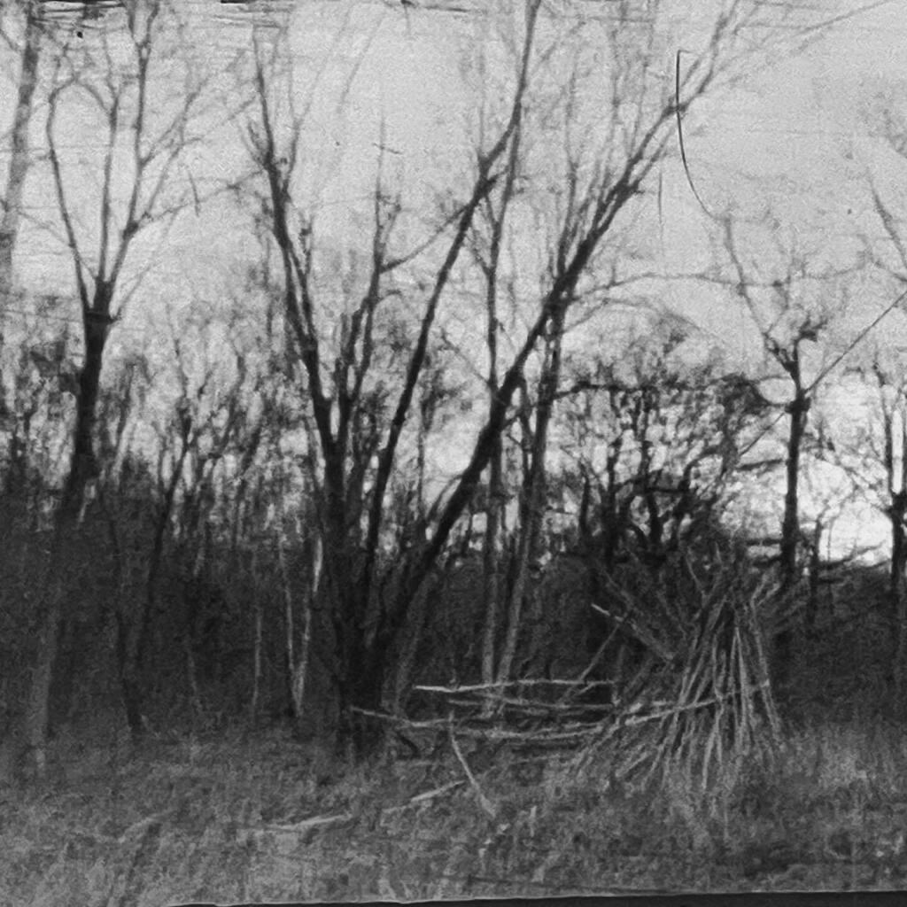 Daily routines #ld3 walking

#zerolight
#pinholephotography
#Organic #homemade #filmdeveloper 
#flaneuse
#embodied 
#durational 
#temporal
#analoguephotography
#alternativephotography
#rosemary
#memory
#alternativedarkroom
#sustainabledarkroom
#newmaterialism
#slowmovement
#…