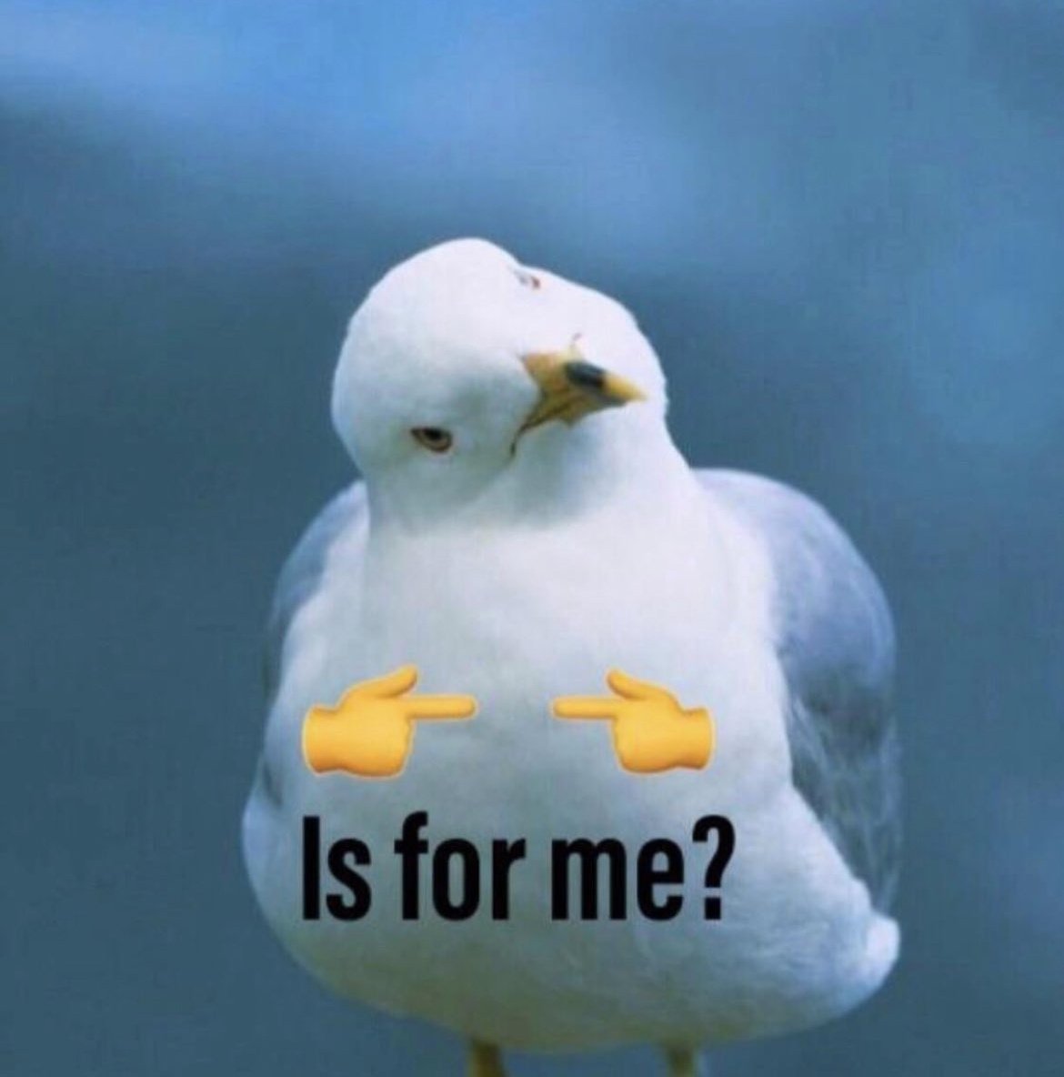 Apple : une fonctionnalité hilarante et inconnue était là depuis le début.  J'ai découvert que les iPhone parlent en rébus aux personnes qui n'ont pas  mis iOS à jour. - jeuxvideo.com, image size:1170x1184