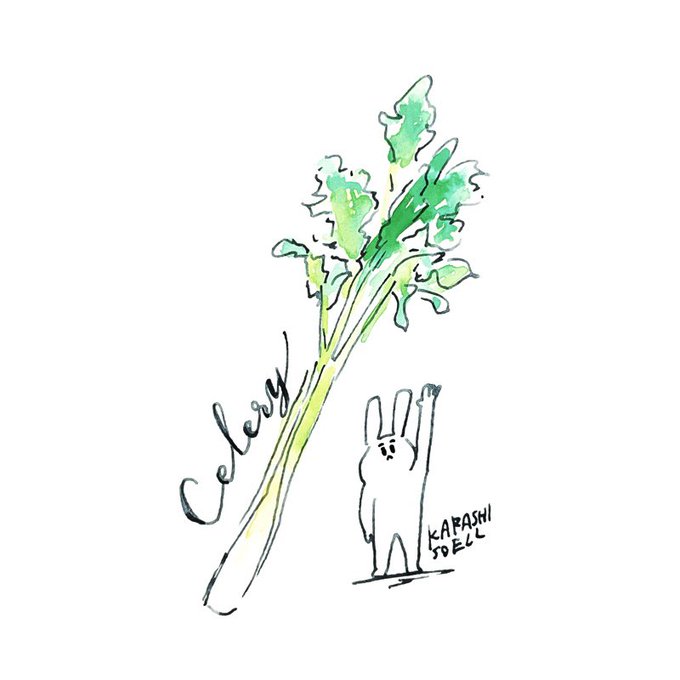 Celeryのtwitterイラスト検索結果