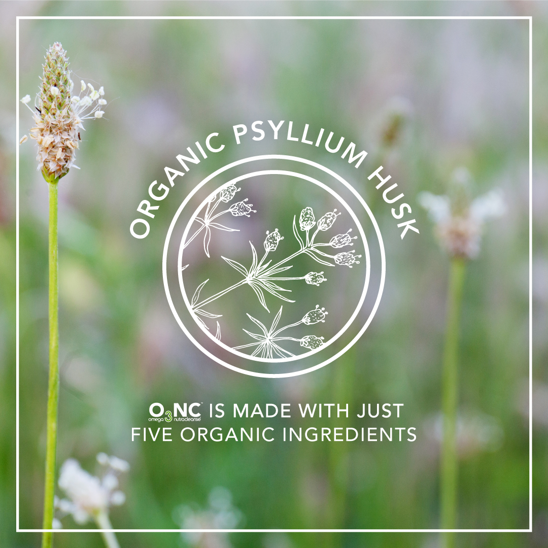 NutraCleanseTM's tweet image. 🔎🌱 We use organic psyllium husk, which is a powerhouse fibre supplement: high in soluble fibre, its main benefit is in its ability to absorb water in your digestive tract. 💪

#ahealthyoutsidestartswithahealthyinside #healthylifestyle #O3NC #nutracleanse #healthandfitness