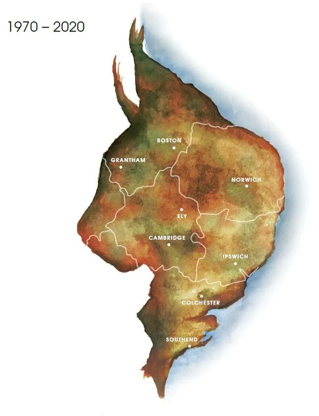 Also involved with  @Wildeastuk, movement for all land owners & managers in Norfolk, Suffolk, Essex, Cambridgeshire & Lincolnshire, from estates to window boxes & everything in between, to set aside 20% of their land for wildlife.Pledge your support:  https://wildeast.co.uk/&nbsp;