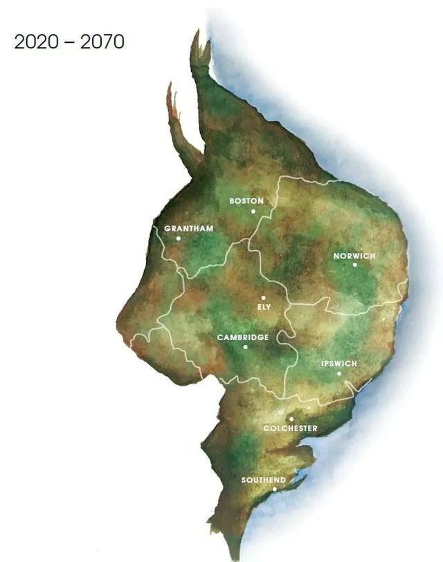 Also involved with  @Wildeastuk, movement for all land owners & managers in Norfolk, Suffolk, Essex, Cambridgeshire & Lincolnshire, from estates to window boxes & everything in between, to set aside 20% of their land for wildlife.Pledge your support:  https://wildeast.co.uk/&nbsp;