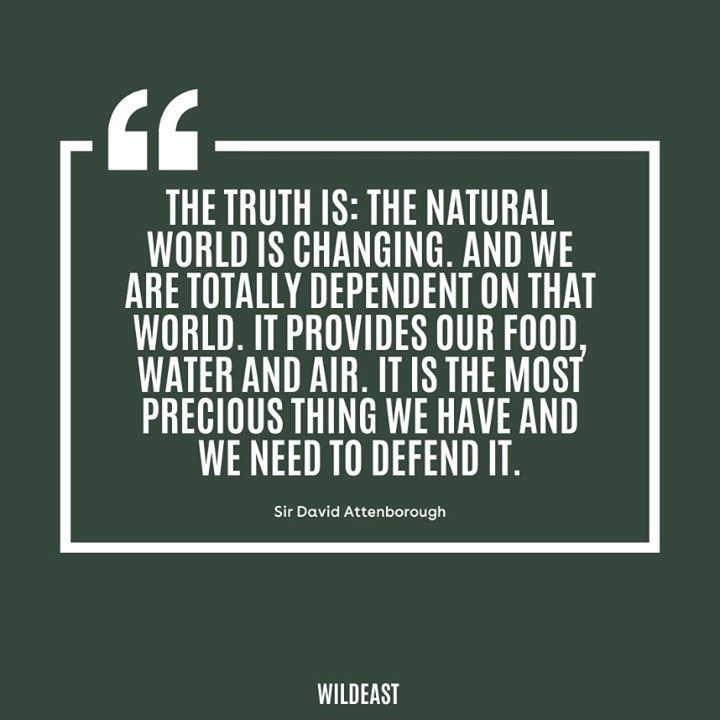 Connection of conservation areas is vital for long term success of many species.Proud to be part of North Norfolk Coastal Group, land owners & farmers working together to create huge area of habitat along North Norfolk Coast, including  @RSPBEngland  @NorfolkWT  @NorfolkCoastNT