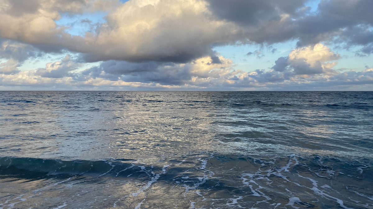 aDiffDesigner's tweet image. Couldn’t let another weekend go by