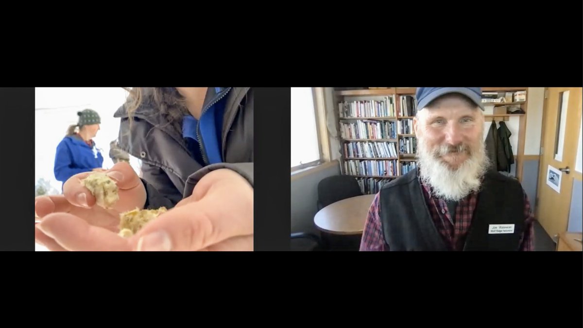 JoeWalewski's tweet photo. Five teachers - owl, hawk, and 3 humans - teach about owl pellets and more. #TeachOutdoorsMinnesota Video and more at https://t.co/4CH6FNDYco https://t.co/k0WLOP5S8g