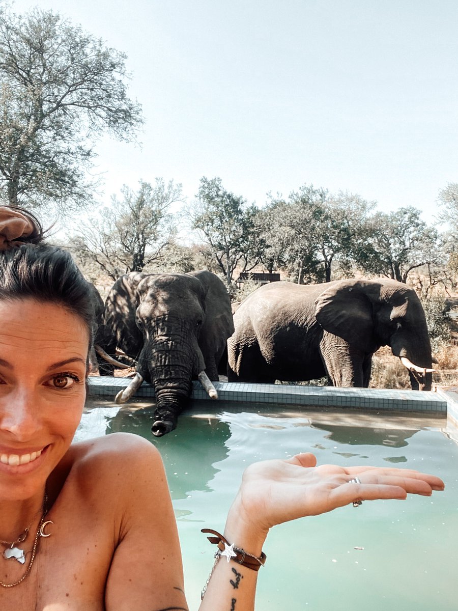 “I never knew of a morning in Africa when I woke up that I was not happy.” — Ernest Hemingway

Have you checked out our South African Photo Safari yet?

This ✨luxury✨ trip is limited to only 6 lucky ladies, so book your spot today!

buff.ly/35rr5Vc