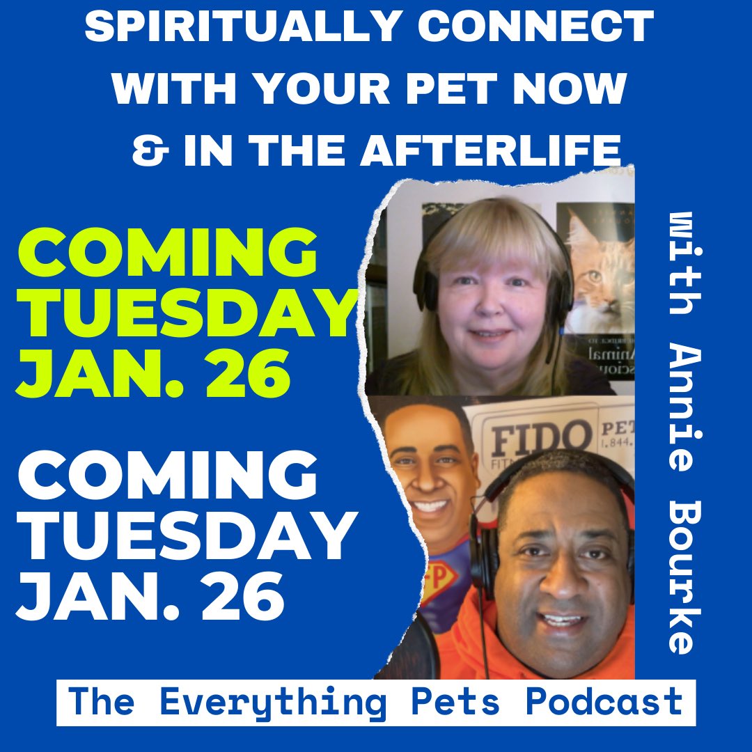 Everything Pets Podcast tweet media