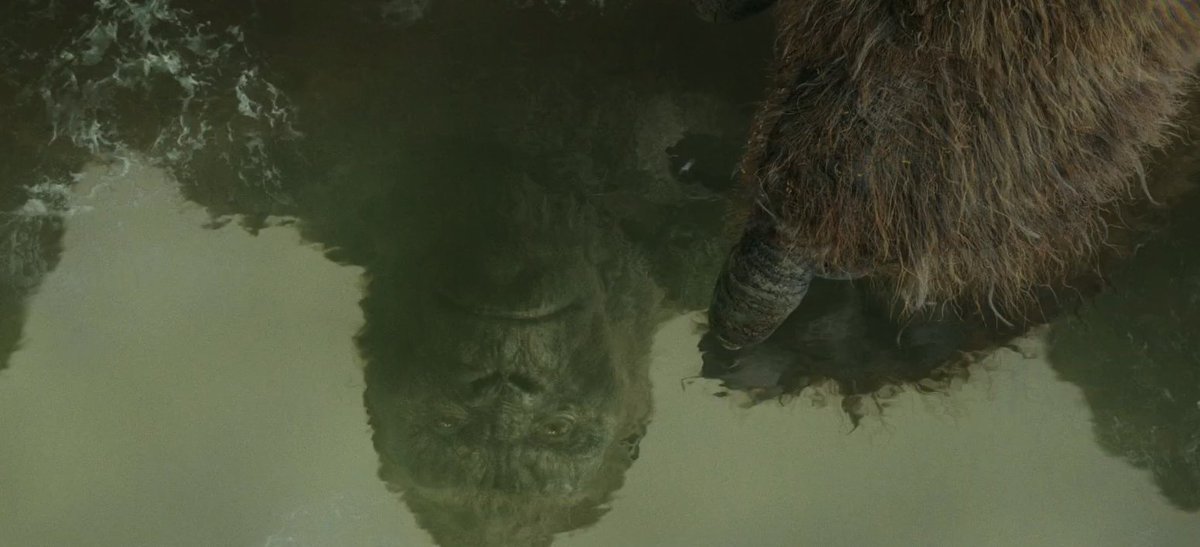 small thing but nice thing - cognitive scientists understand sentience by having a sense of self - which is often gauged by response to mirrored images of one's body. this is goooood