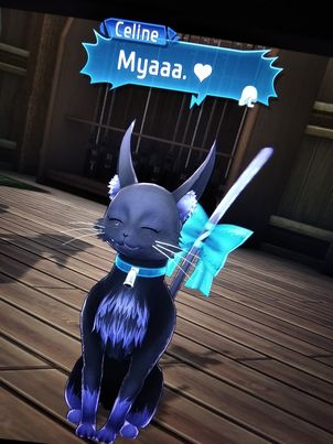 »»————-　PETS　————-««How do you refuse to love Celine? How to ignore Coppe's existence? How to forget the role of Antoine? How not to love the great Zeit? How to ignore Cerberus, who can run the store all by himself?Am I right or am I right?Big + for Kitty-Talk for Dummies!