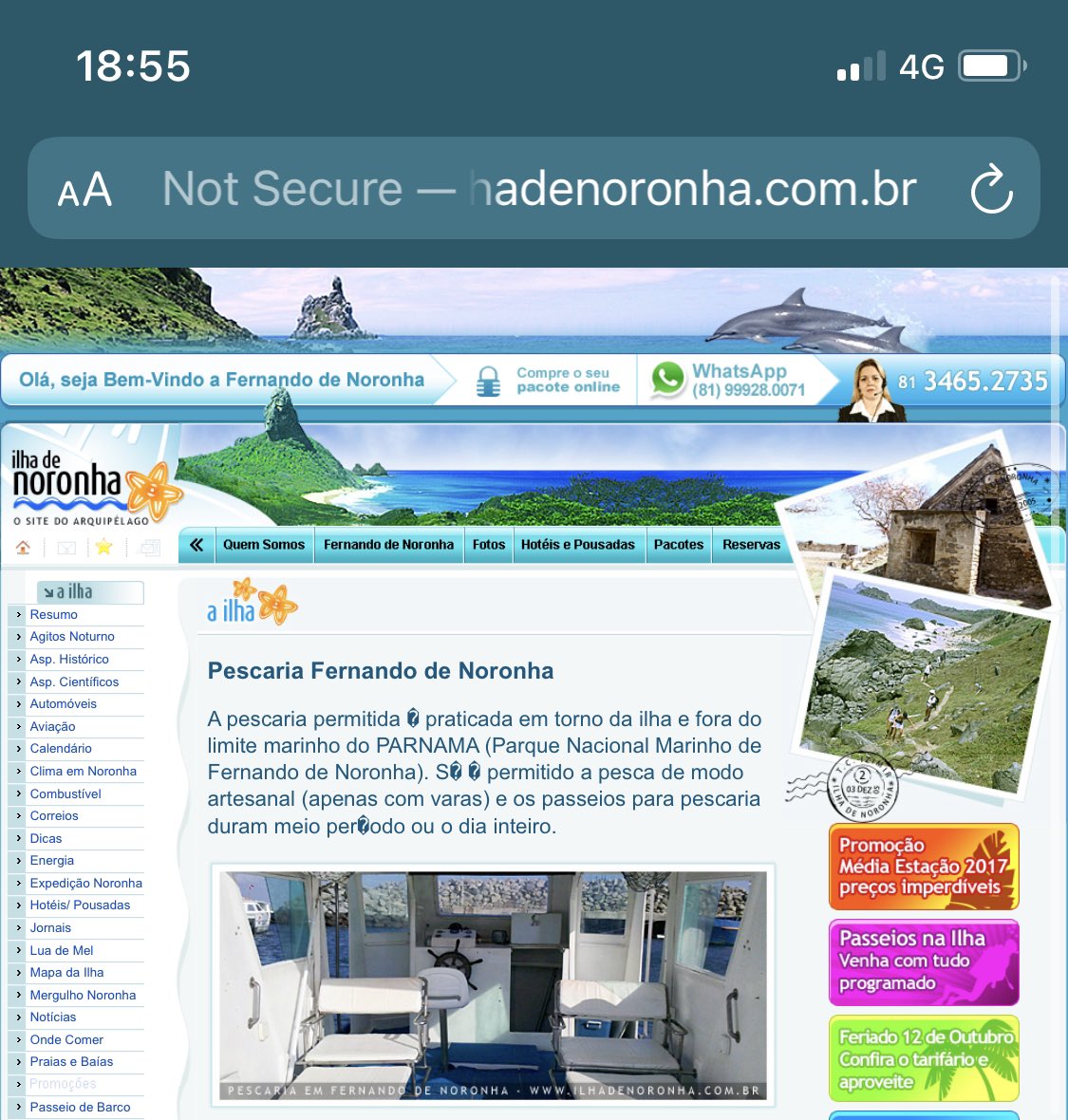 Caio Castro tweet media