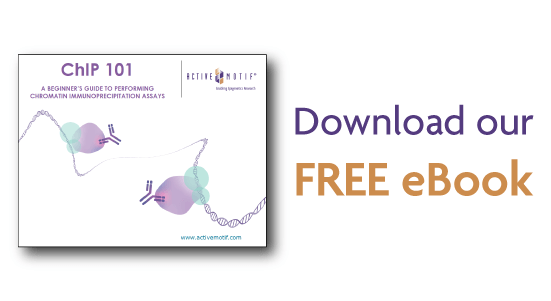 activemotif's tweet photo. [Free eBook] Want to learn more about performing ChIP assays? We've got you covered! Download our ChIP 101 eBook and become a #ChIPAssayExpert. https://t.co/kKj2FxraVN https://t.co/UllGEj3dSY