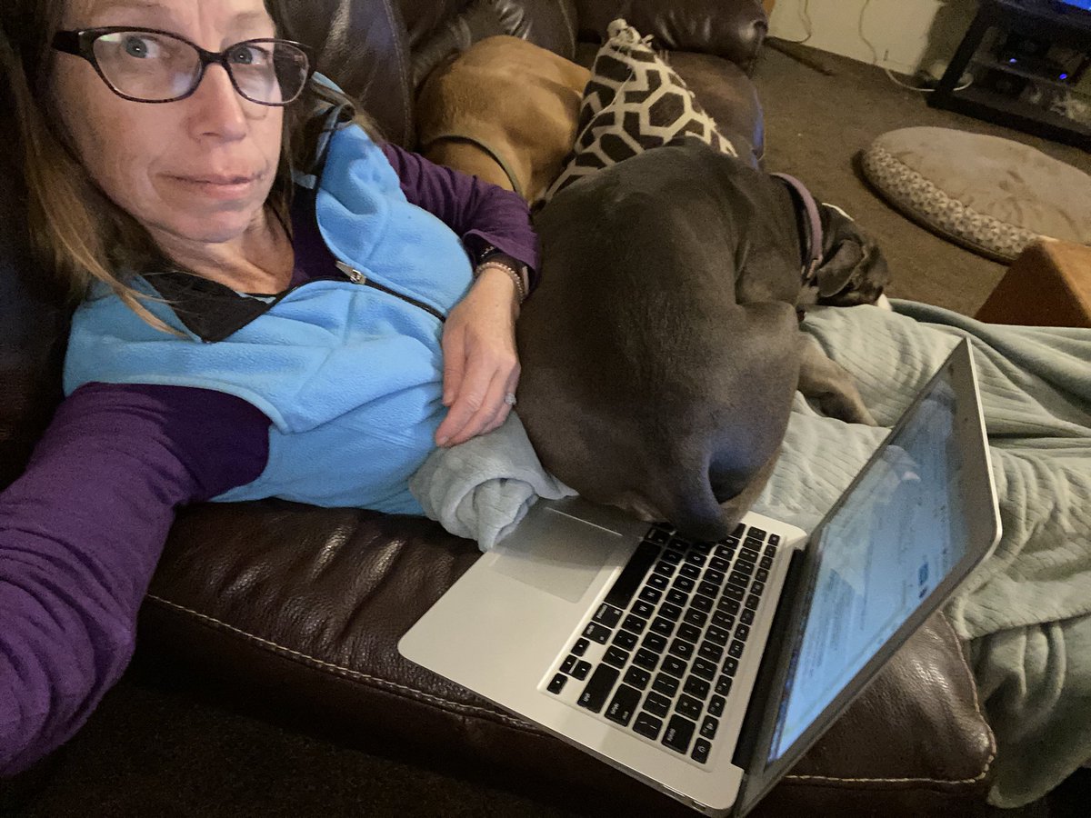 ...when you’re trying to work and your “small” dog wants to be on your lap...
