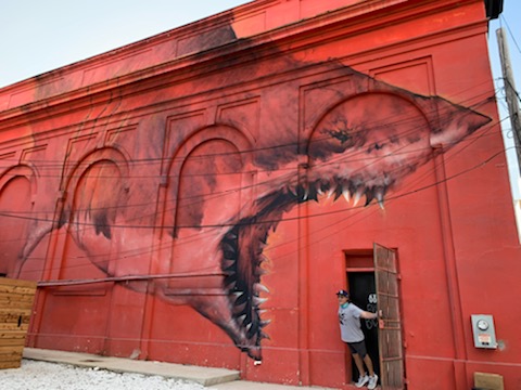 jpetramala's tweet photo. I am most ALIVE when I step out of my comfort zone. #SundayThoughts #mural #lifeimitatesart #sharktoof #stpete https://t.co/yNSgCWmwqg