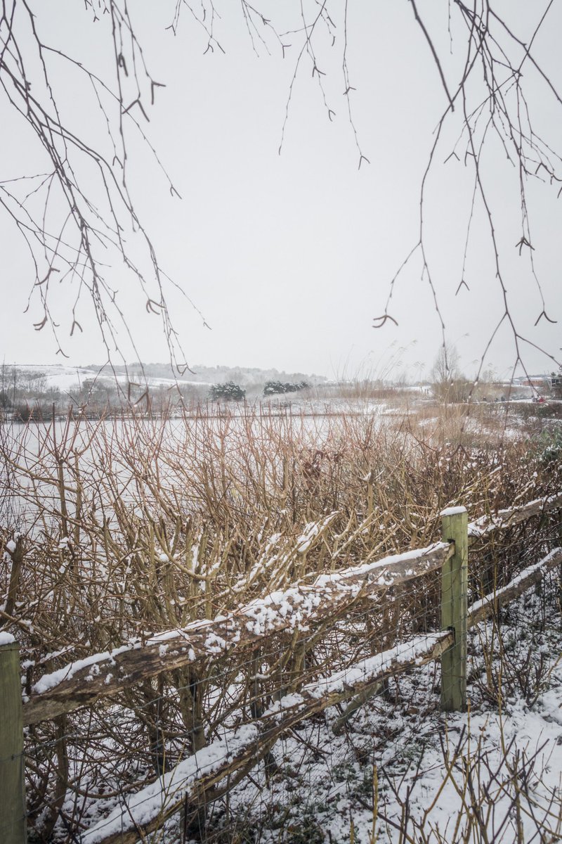 claregallon's tweet photo. ❄️🌨
#SurreySnow #Redhill #Surrey #loveukweather https://t.co/a7HGc4RHDz
