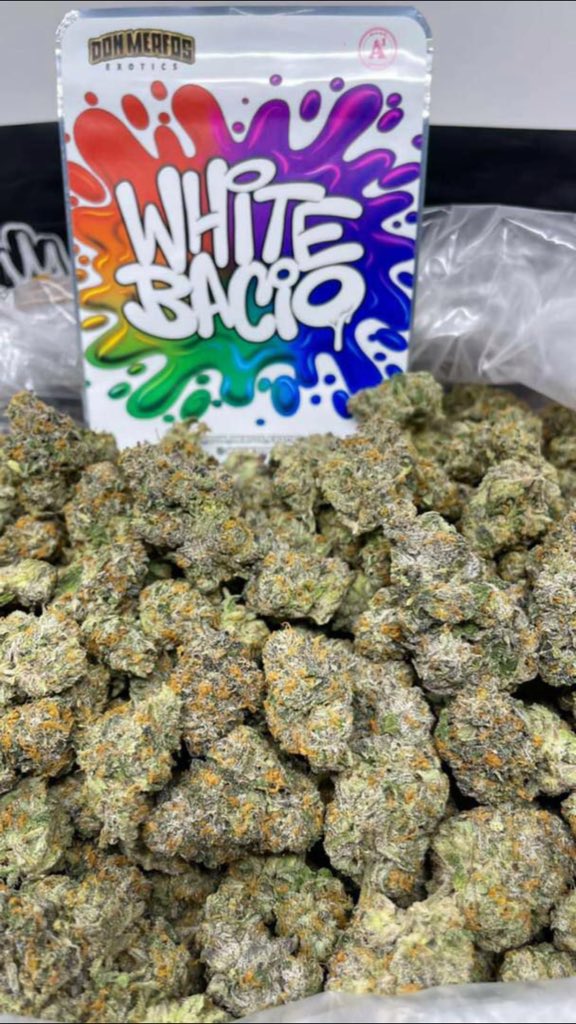 laouni4201's tweet photo. Week-end weed 👉🏻snap:👻 weedshitobedo .la qualitè assurèe #France #Marseille #toulouse #paris #lyon #Montpellier #monaco #meslam #PSG #rastabot #proverbe #citation #javascript #rastabot #belgique #annecy https://t.co/7wV7lRx0lo