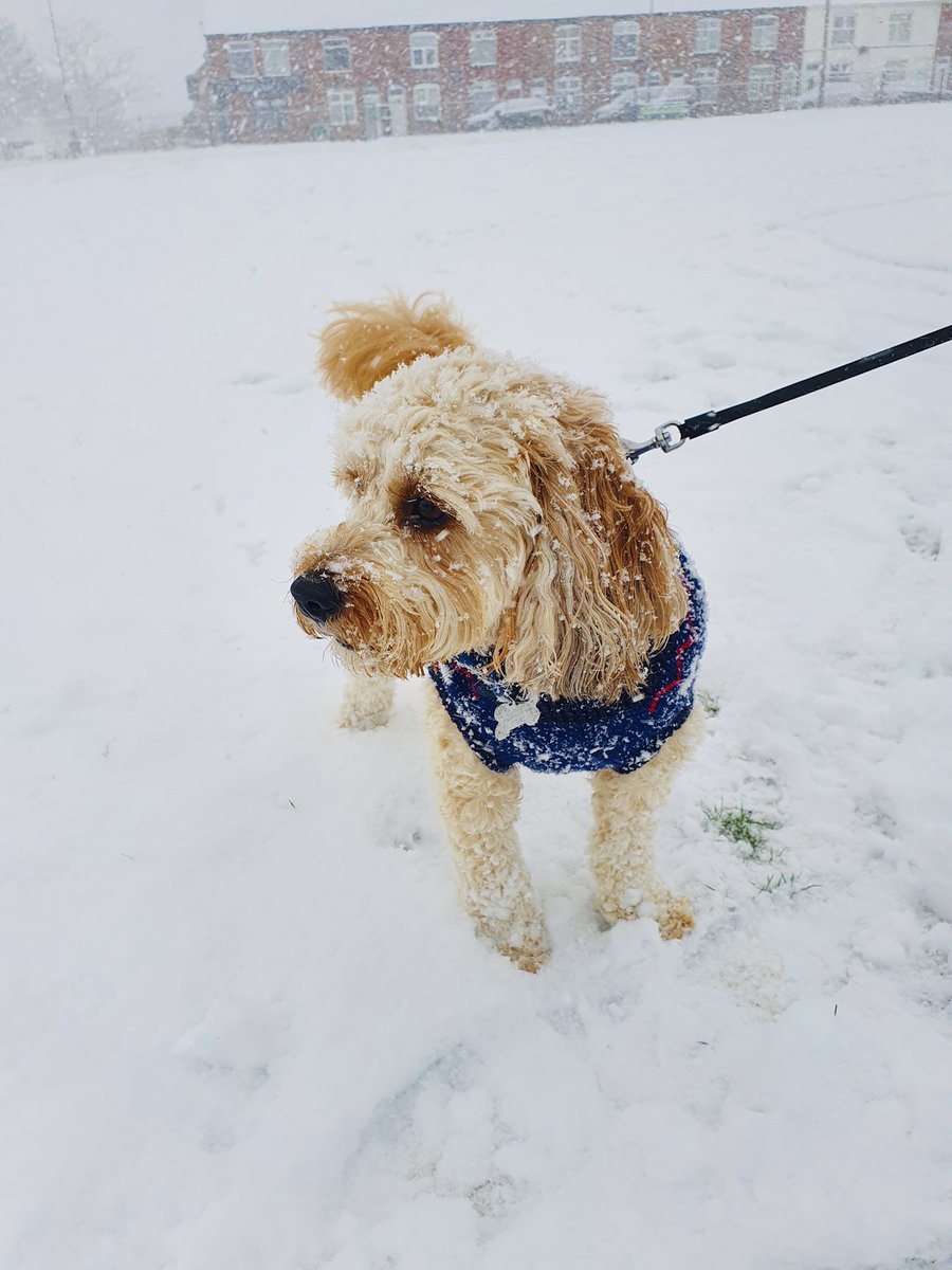 Mrs Garbett tweet media