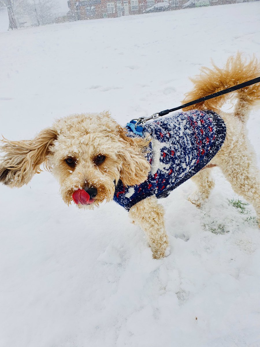 Mrs Garbett tweet media