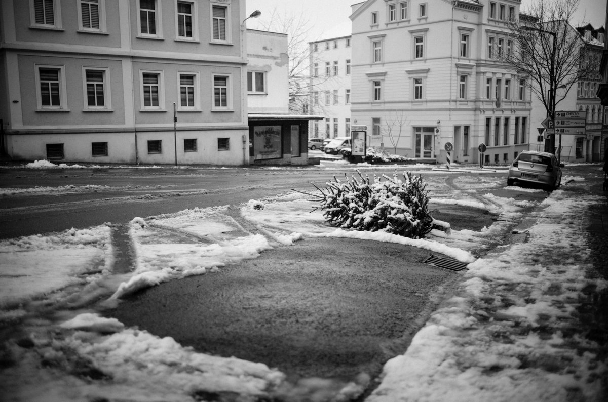 mataphoto's tweet photo. Christmas time #vignetting #Summilux #wideopen #Leica #LeicaM #Winter #looks #tree #christmastree https://t.co/p8KP7fIjkd
