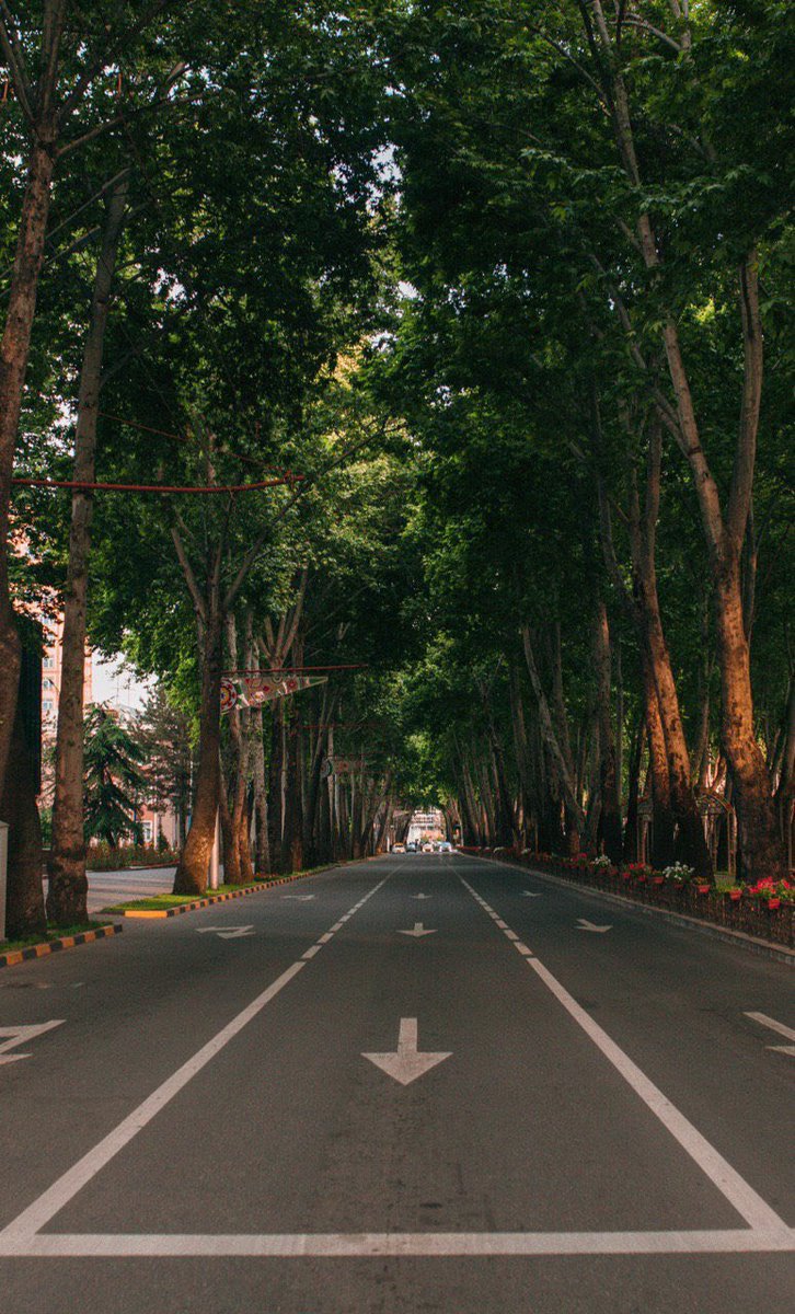 sher_khashimov's tweet photo. Rudaki Avenue in #Dushanbe, #Tajikistan, in late spring. Photo credit - Ruslan Yakhshibaev. https://t.co/oZBDseUnrS