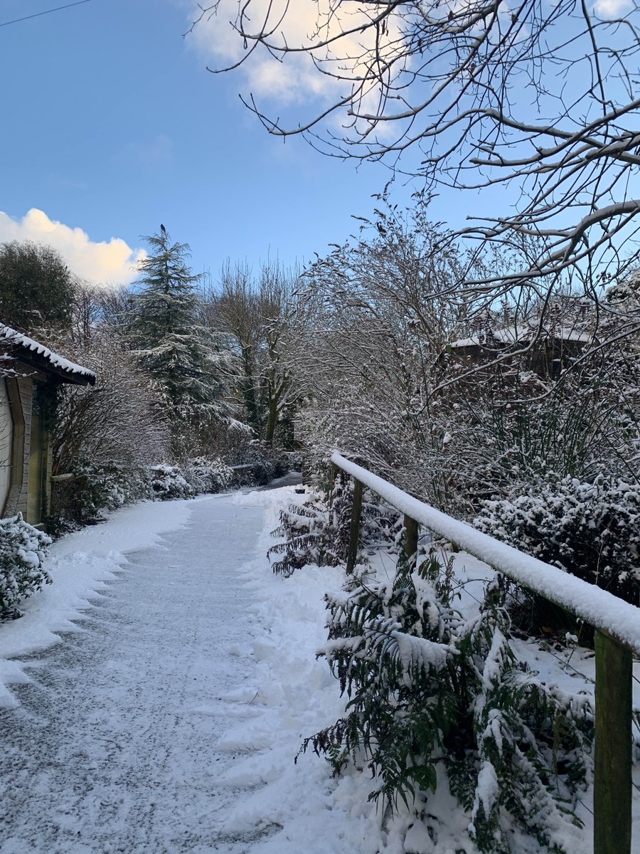 exmoorzoo's tweet photo. ๐จโ๏ธSnow dayโ๏ธ๐จ
Well itโs been an interesting day for our keepers, it snowed, it hailed, it went foggy, snowed a bit more and then snowed some more!
#snow #snowday #animalsinsnow #lockdown #animals #keepers #keepsafe https://t.co/ZHZziJKNsc
